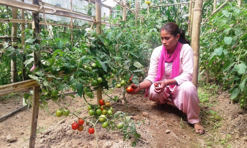 पहिला पैसा लिएर बजार गइन्थ्यो अहिले पैसा लिएर घर आउँछौँ