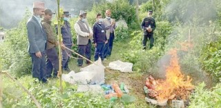 म्याद नाघेका खाद्य सामग्री नष्ट 