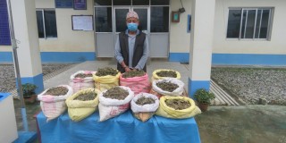 १५ केजी गाँजा सहित एक पक्राउ 