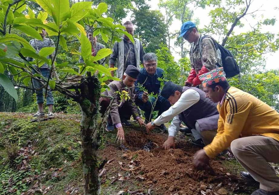 मझुवागढीलाई ‘फूलको पहाड’ बनाउने अभियान 