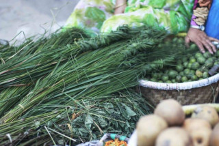 आज कुशे औंसी, बुवाको मुख हेर्ने दिन