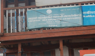 चारजना कारागार चलान,पाँचजना धरौटीमा छुटे